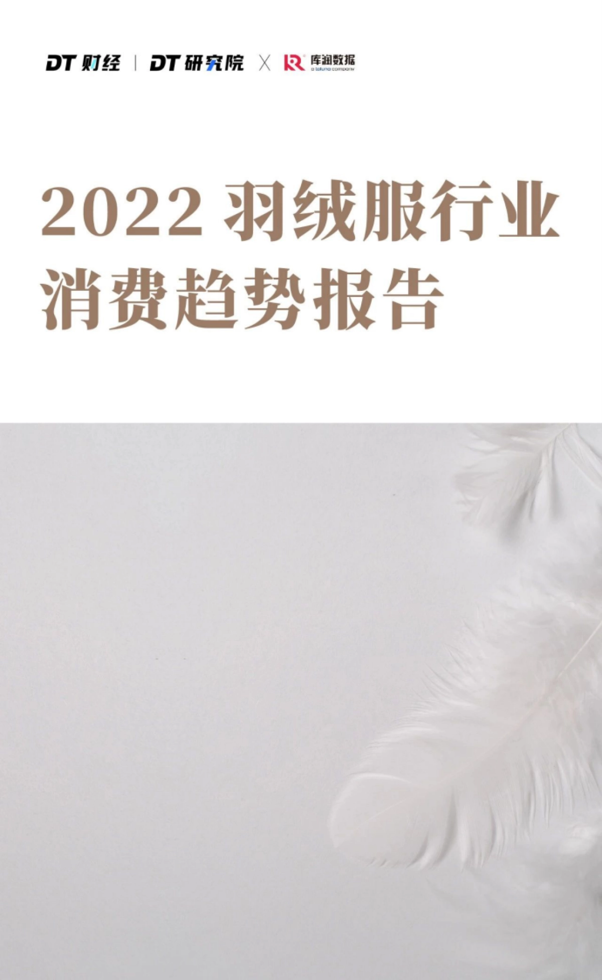 DT财经：2022羽绒服行业消费趋势报告_第1页