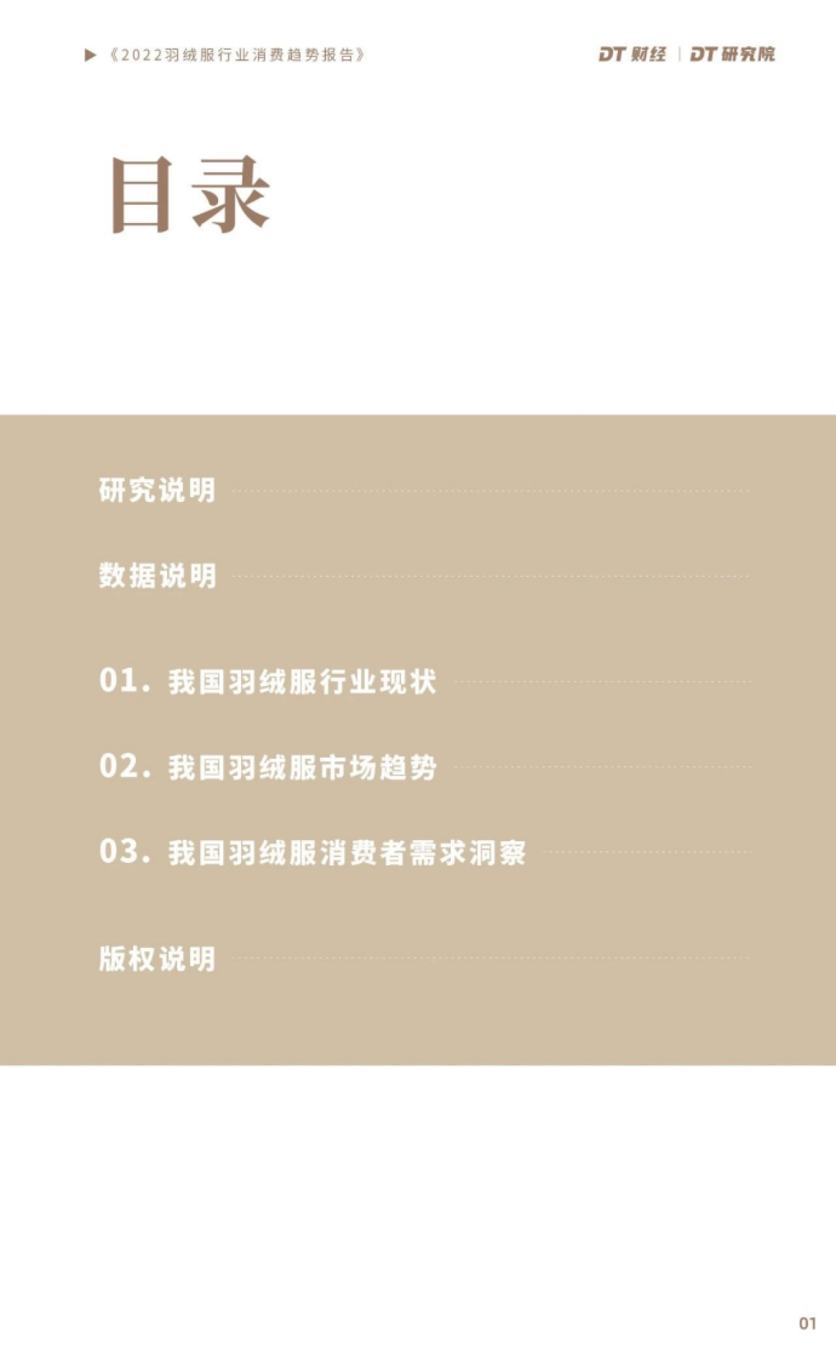 DT财经：2022羽绒服行业消费趋势报告_第2页