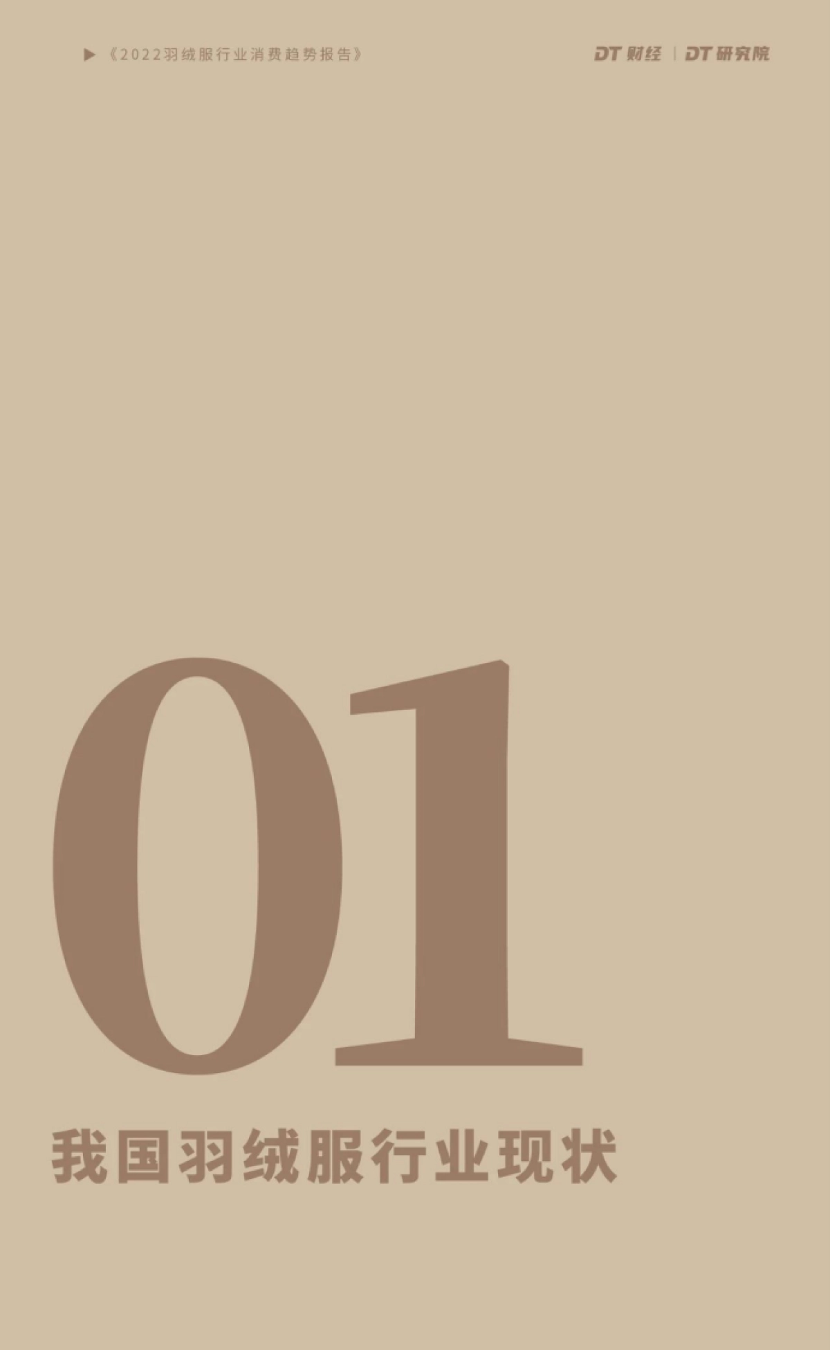 DT财经：2022羽绒服行业消费趋势报告_第5页