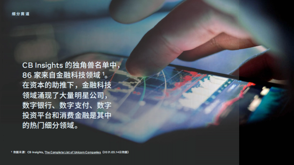 FACEBOOK-金融科技行业白皮书1.0_第10页