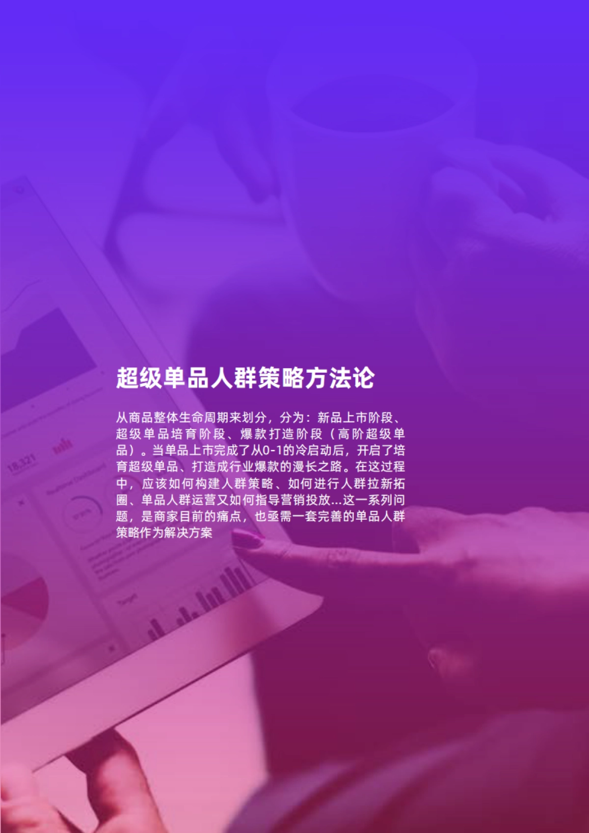 电商行业双11投资指南:超级单品人群策略洞察,销售增长赛道_第4页
