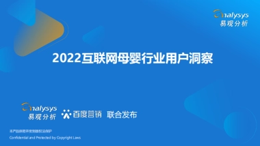 2022互联网母婴行业用户洞察-易观分析