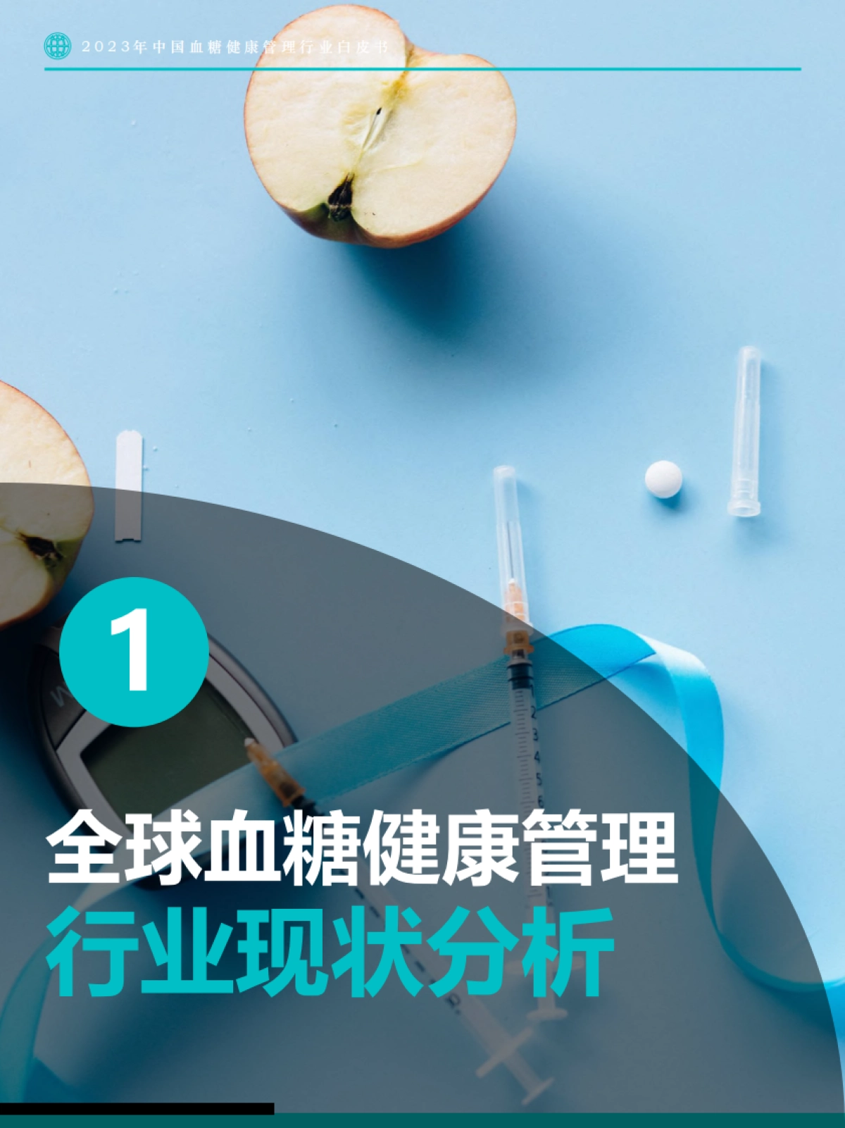 Fastdata极数-2023年中国血糖健康管理行业白皮书-2023-69页_第4页