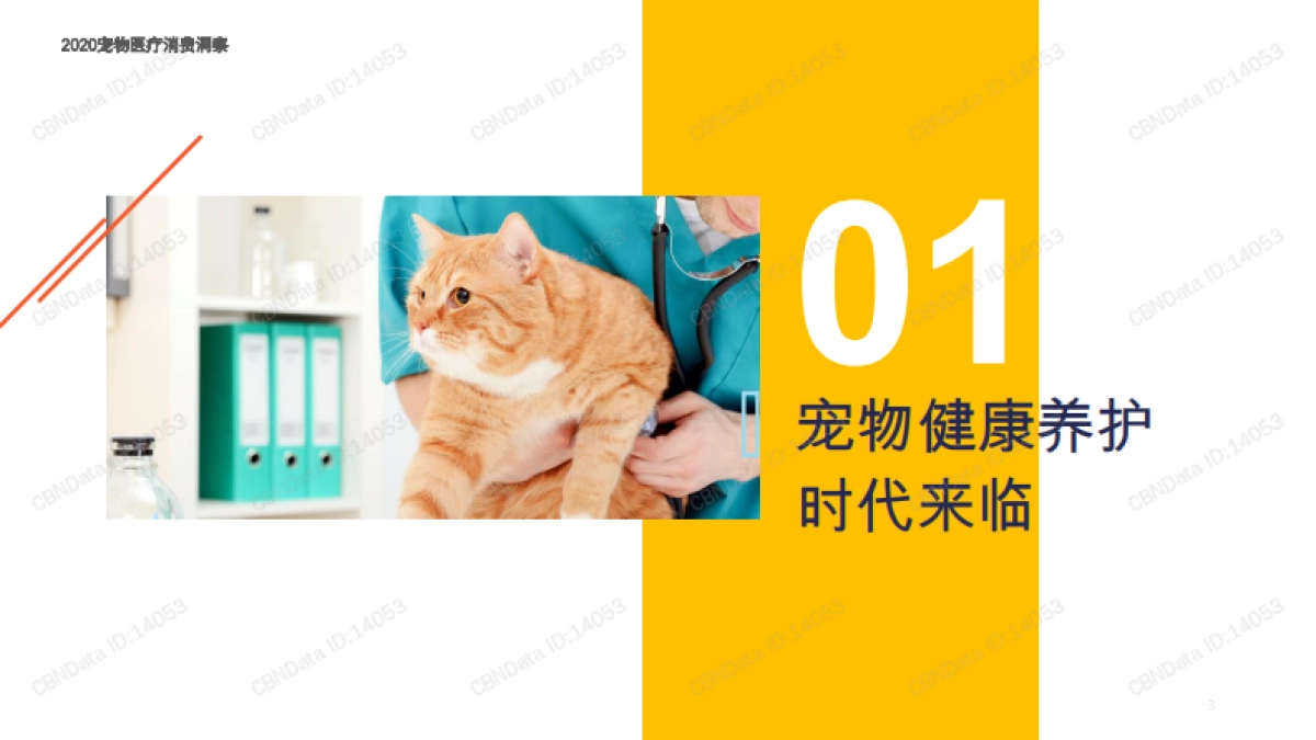 宠物医疗行业：2020宠物医疗消费洞察_第3页