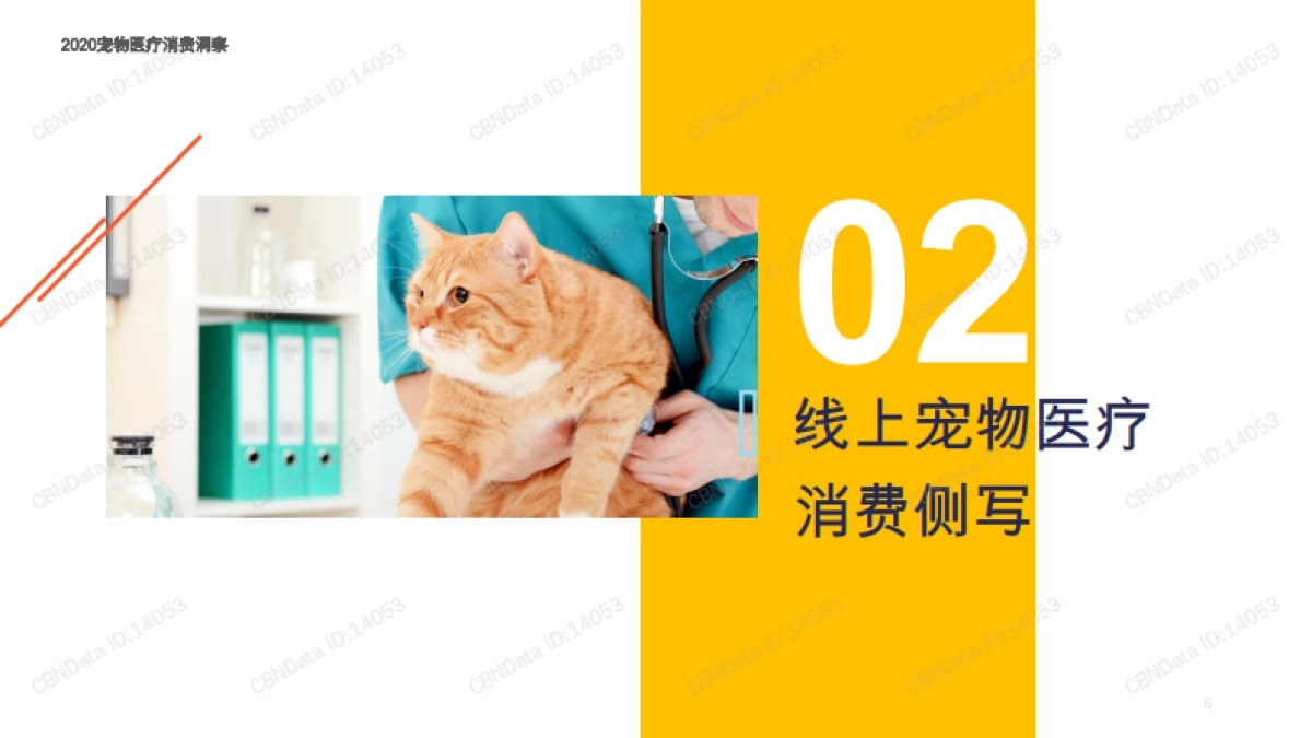 宠物医疗行业：2020宠物医疗消费洞察_第6页