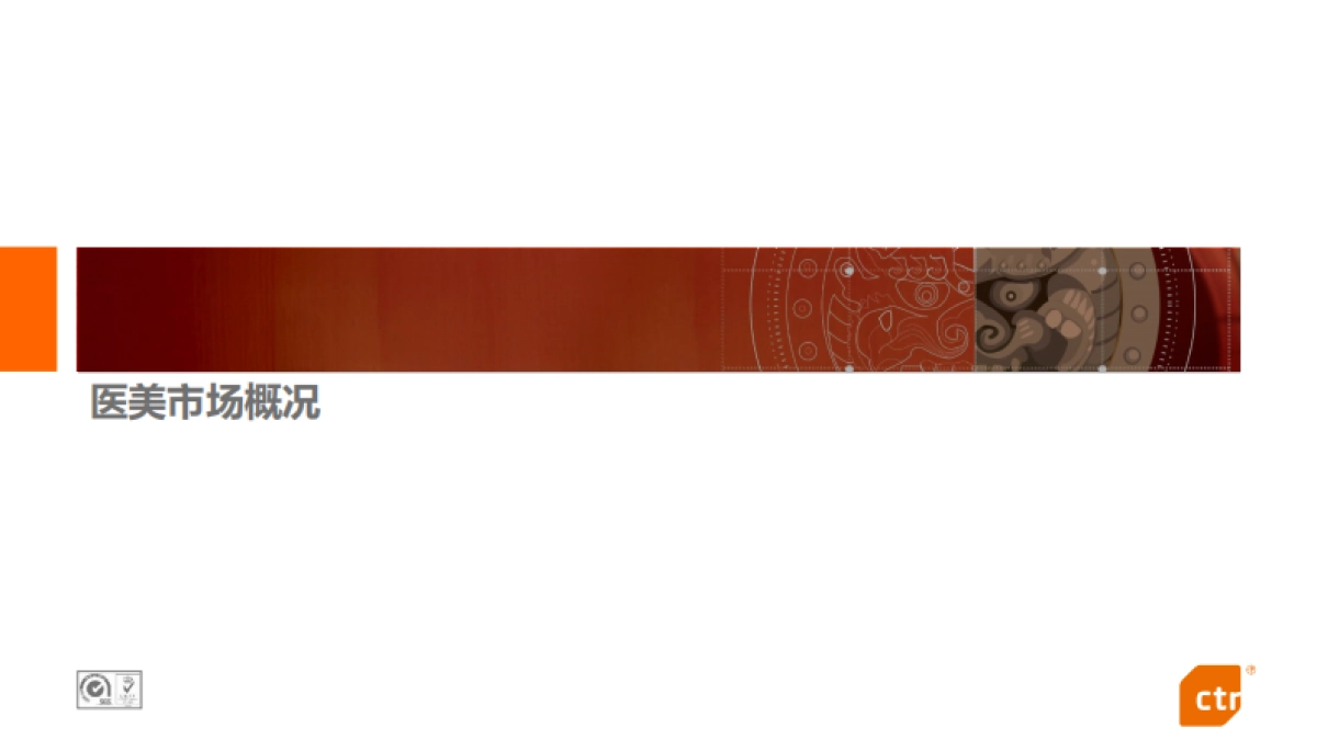 互联网医美行业研究-CTR-38页_第3页