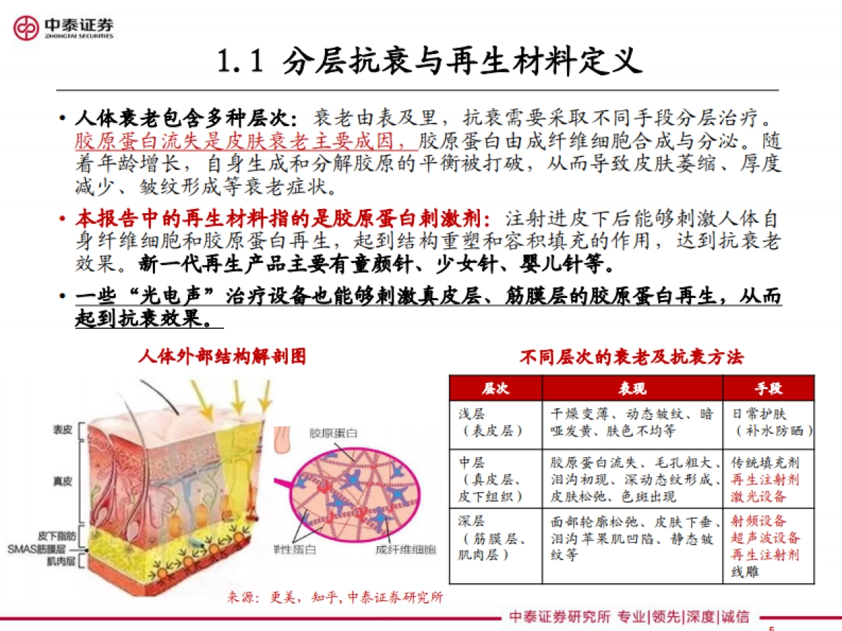 化妆品行业：医美细分Ⅰ，再生元年的针剂趋势-中泰证券-39页_第5页