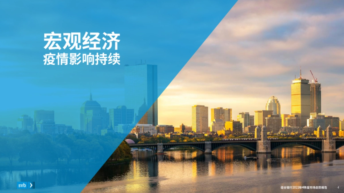 市场态势报告：2021Q4全球创新经济健康度和生产力的行业洞察-硅谷银行-35页_第4页