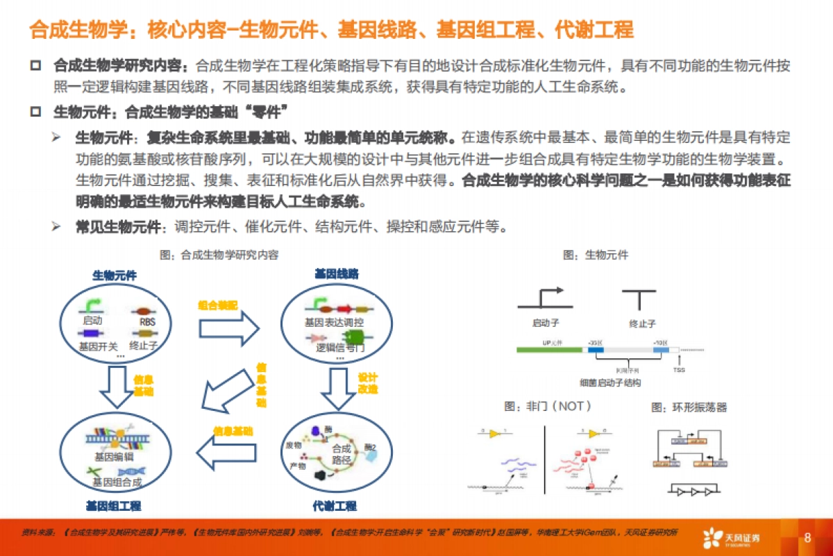 医药生物行业：合成生物学，未来已来，开启“造物”时代-天风证券-96页_第8页