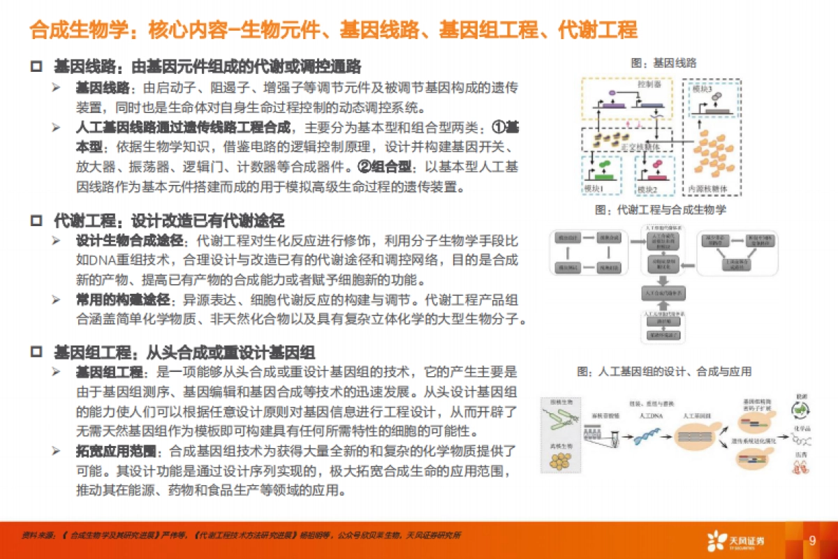 医药生物行业：合成生物学，未来已来，开启“造物”时代-天风证券-96页_第9页