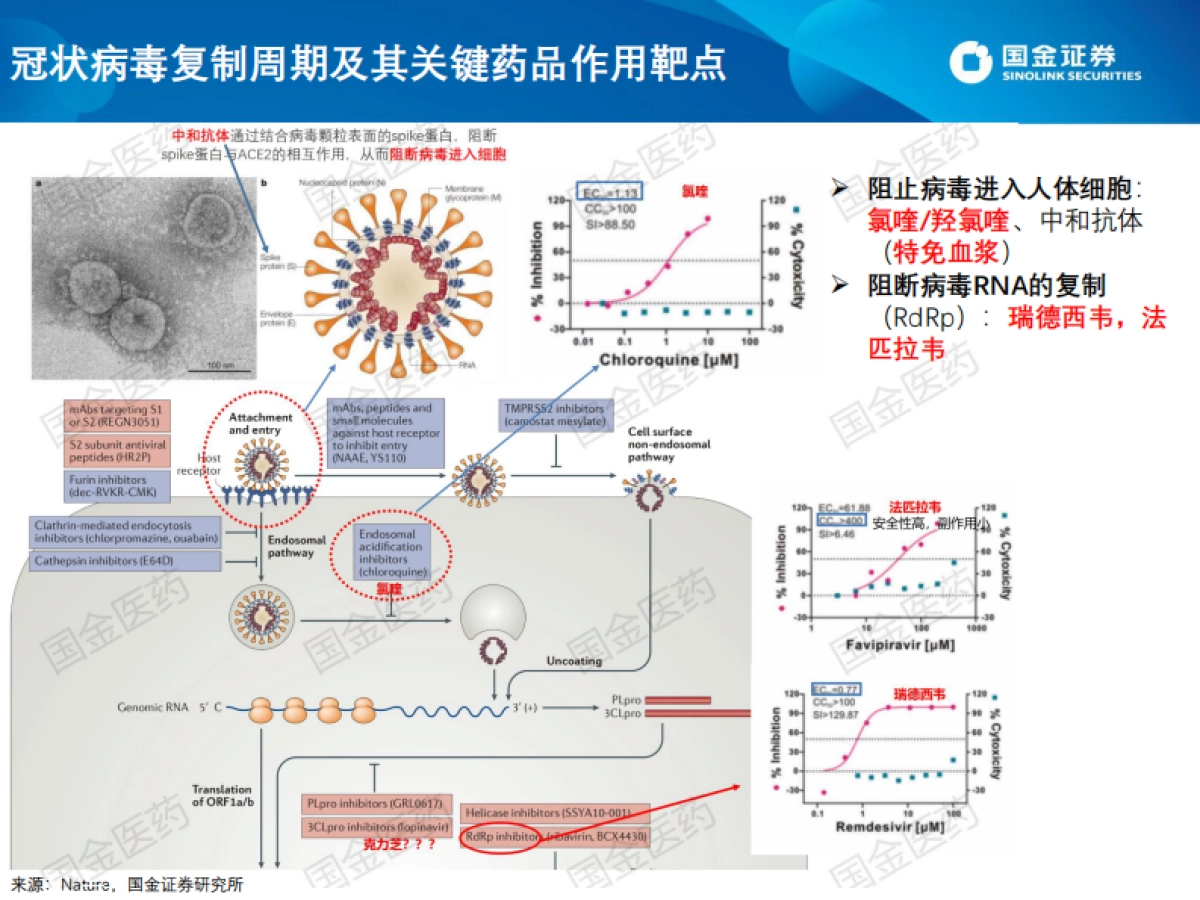 医药生物行业：寻找曙光：COVID-19新冠肺炎潜在治疗手段及相关公司_第7页