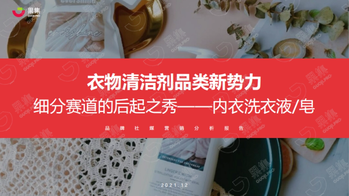 2021年内衣洗衣液皂行业社媒营销分析报告_第1页