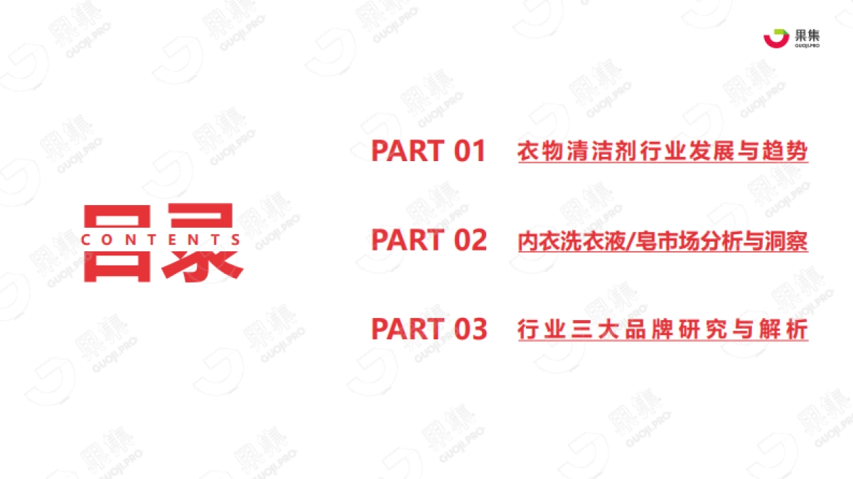 2021年内衣洗衣液皂行业社媒营销分析报告_第2页