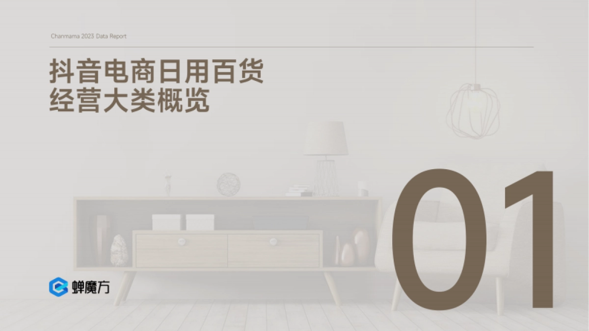 蝉妈妈:抖音日用百货行业报告_第4页