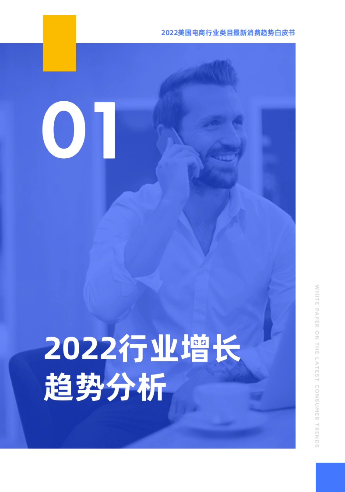 2022美国电商行业类目最近消费趋势白皮书-30页_第3页