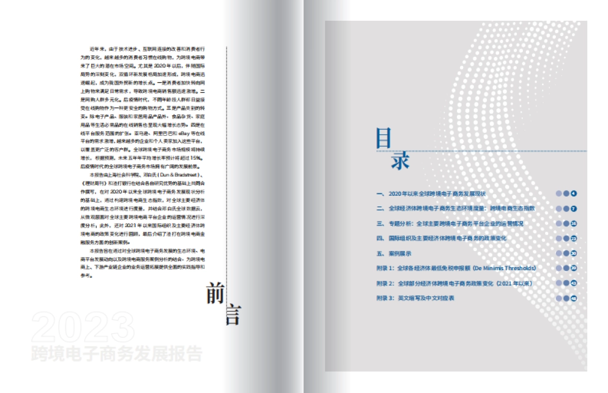 电子商务行业：2023跨境电子商务发展报告_第3页