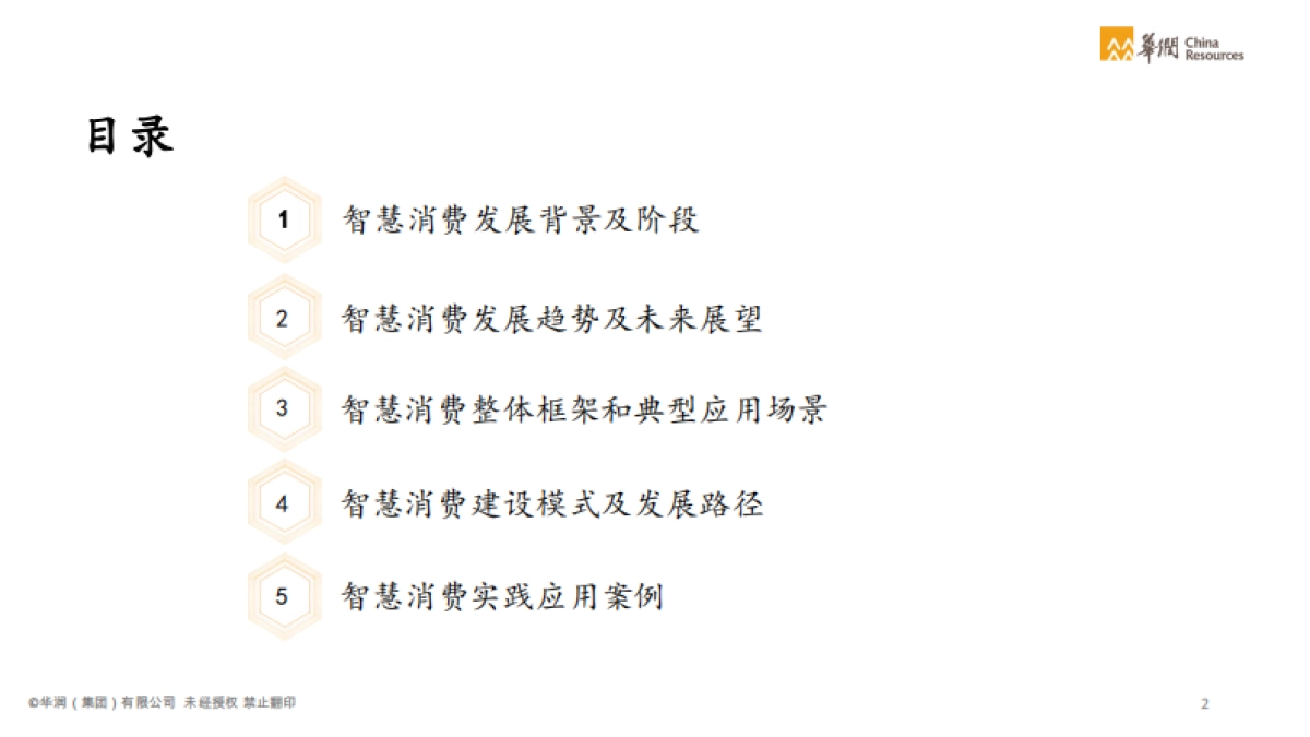 智慧消费白皮书：消费品与零售行业数字化转型-华润-71页_第4页