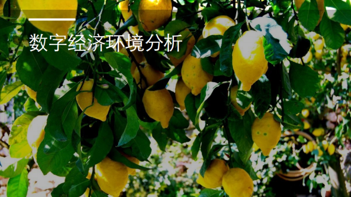 重塑食品零售行业-德勤_第6页