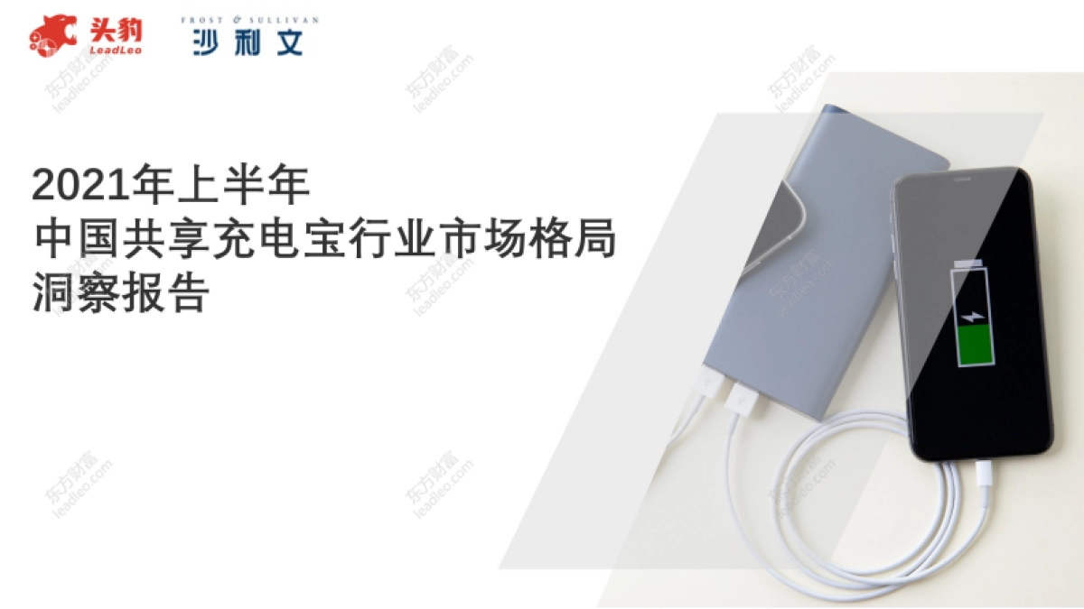2021年上半年中国共享充电宝行业市场格局洞察报告-头豹-30页_第1页