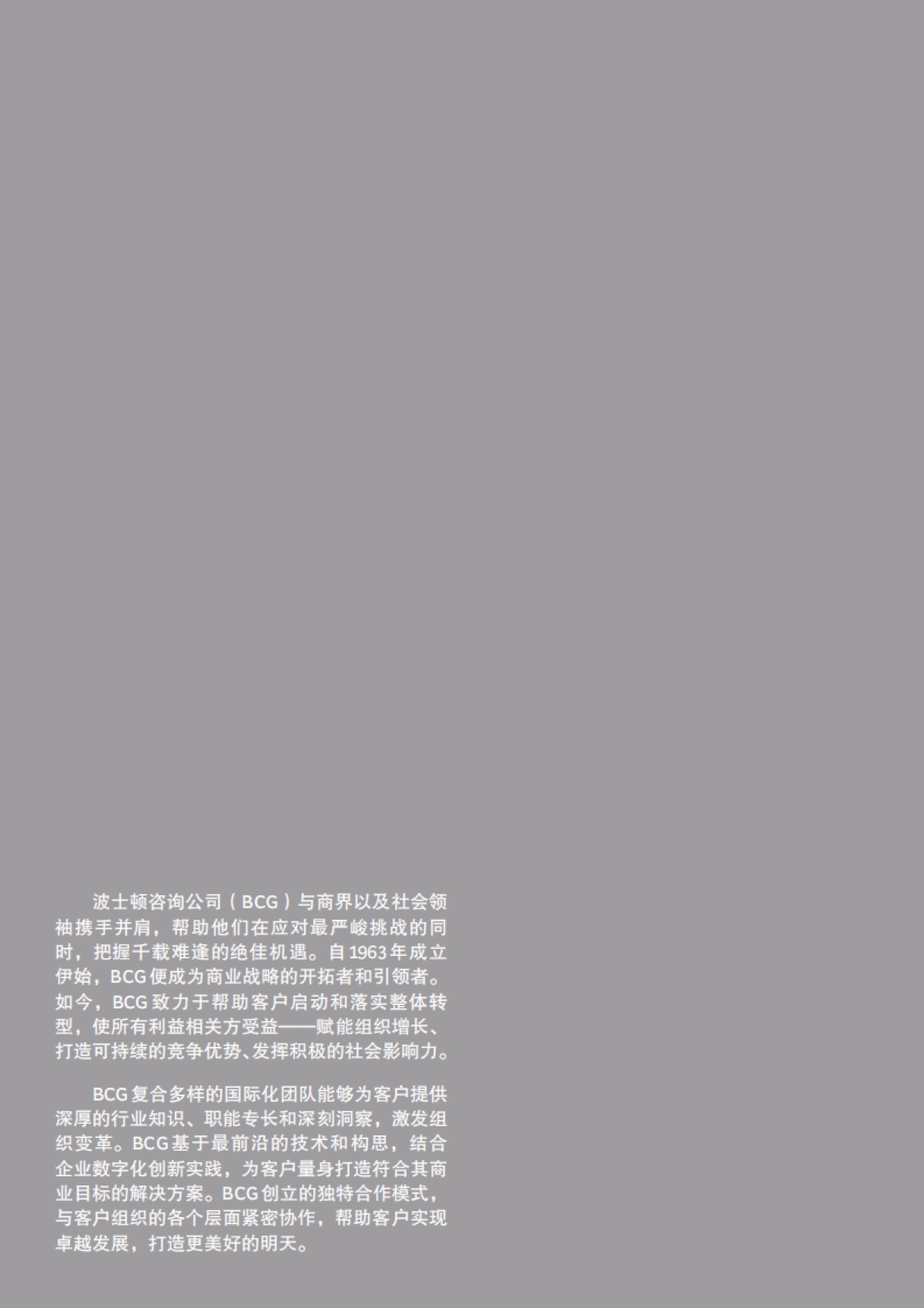 全新视角洞察租车行业发展趋势-波士顿&一嗨出行-32页_第2页