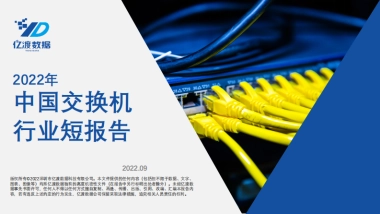 2022年中国交换机行业短报告