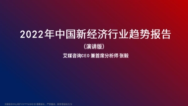 2022年中国新经济行业趋势报告-艾媒咨询-81页