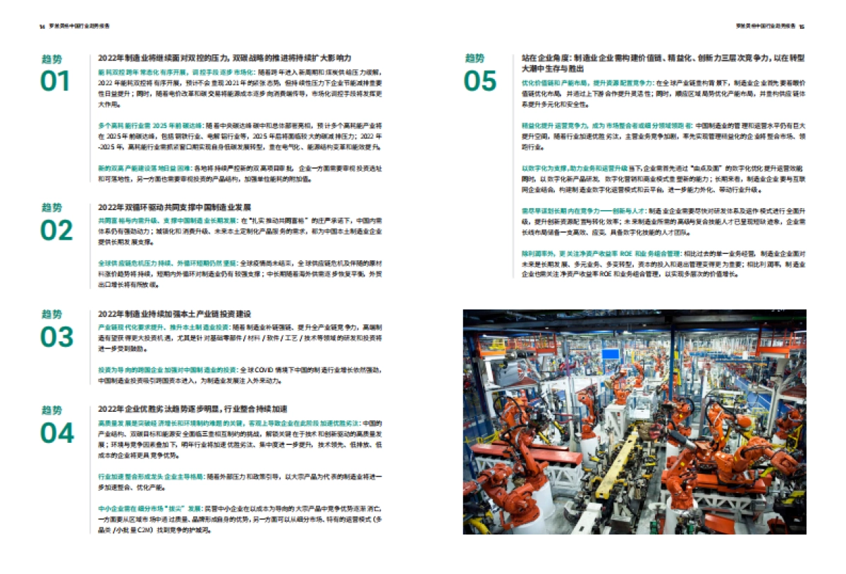 2022年中国行业趋势报告-罗兰贝格-58页_第10页