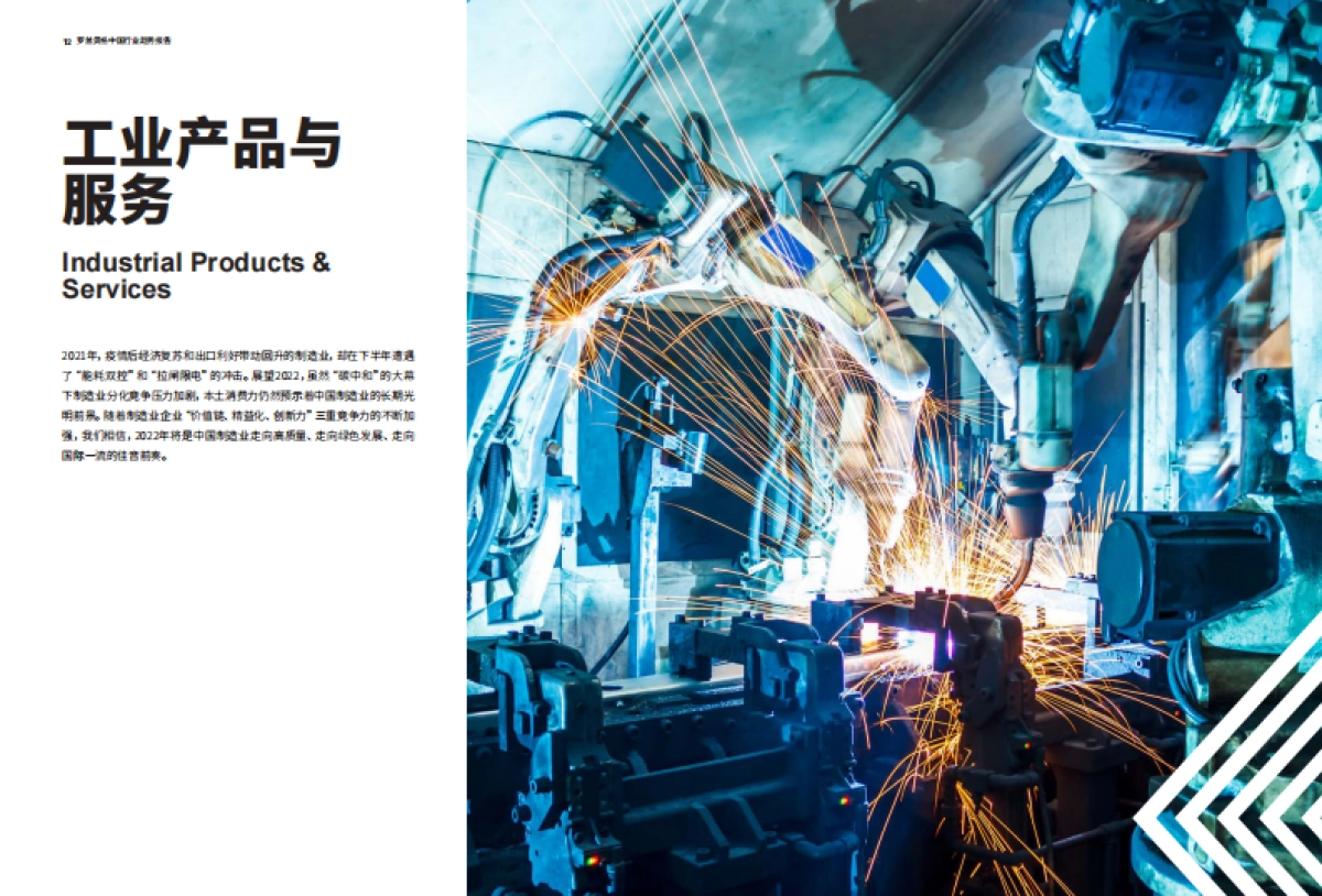 2022年中国行业趋势报告-罗兰贝格-58页_第9页