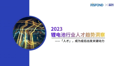 2023锂电池行业人才趋势洞察