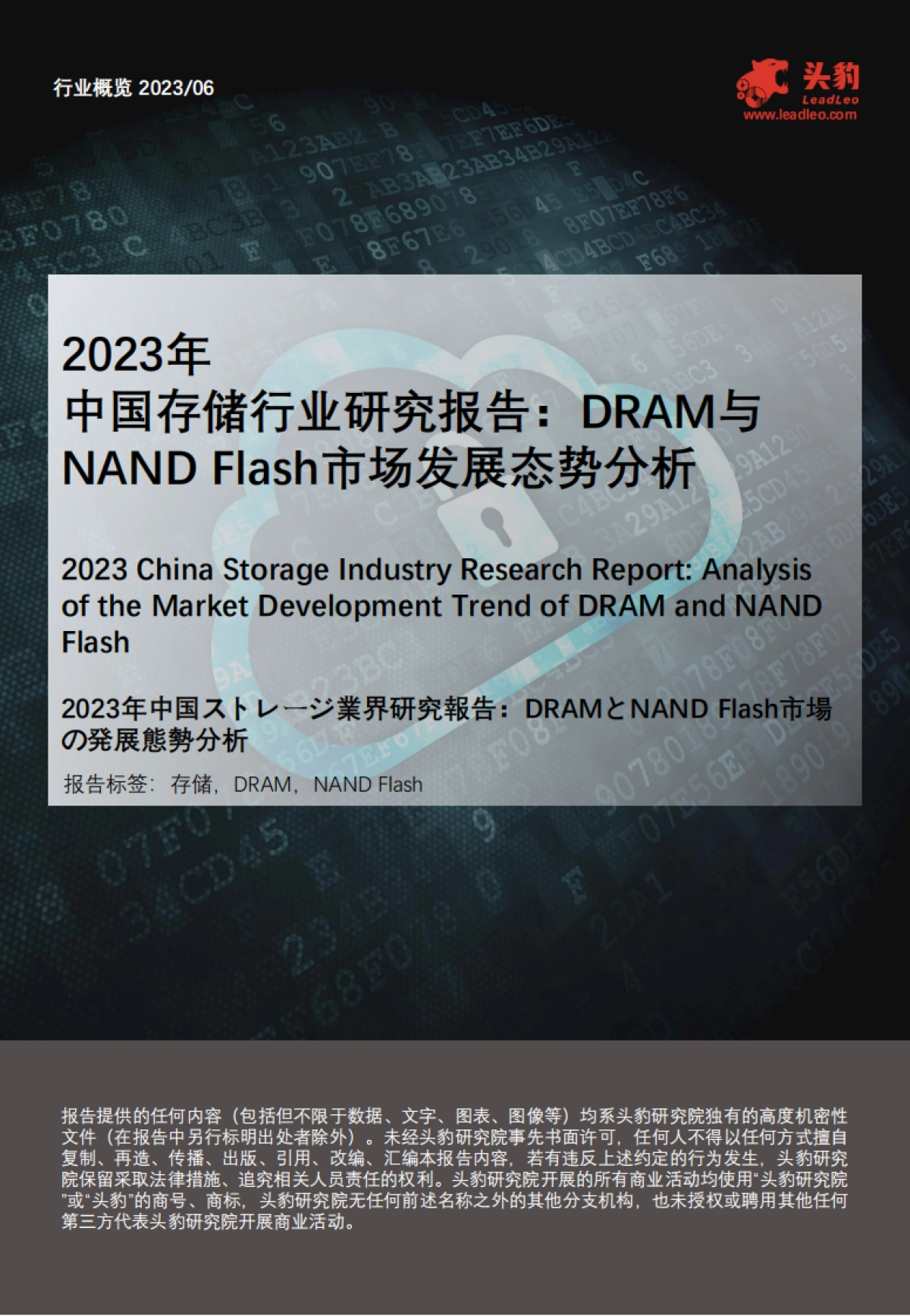 2023年中国存储行业研究报告：dram与nand+flash市场发展态势分析_第1页