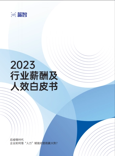 2023行业薪酬及人效白皮书-薪智
