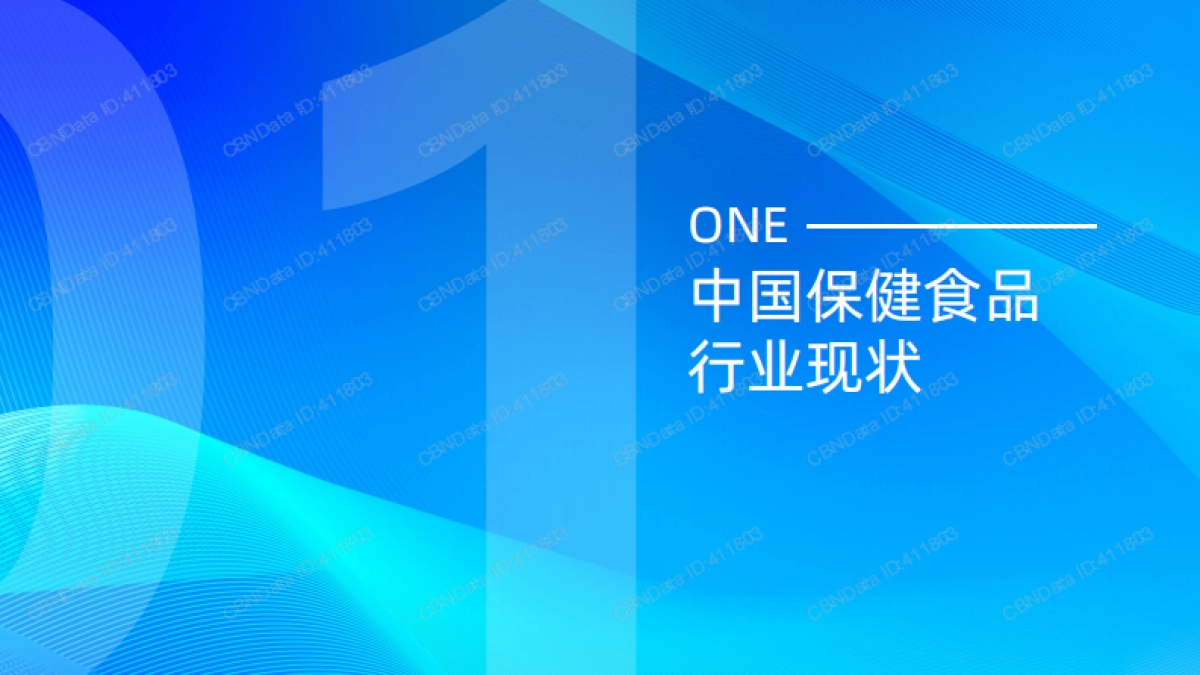 2024保健品行业研究报告_第2页