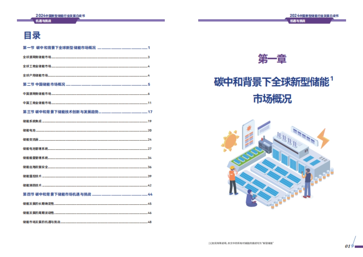 2024中国新型储能行业发展白皮书_第4页