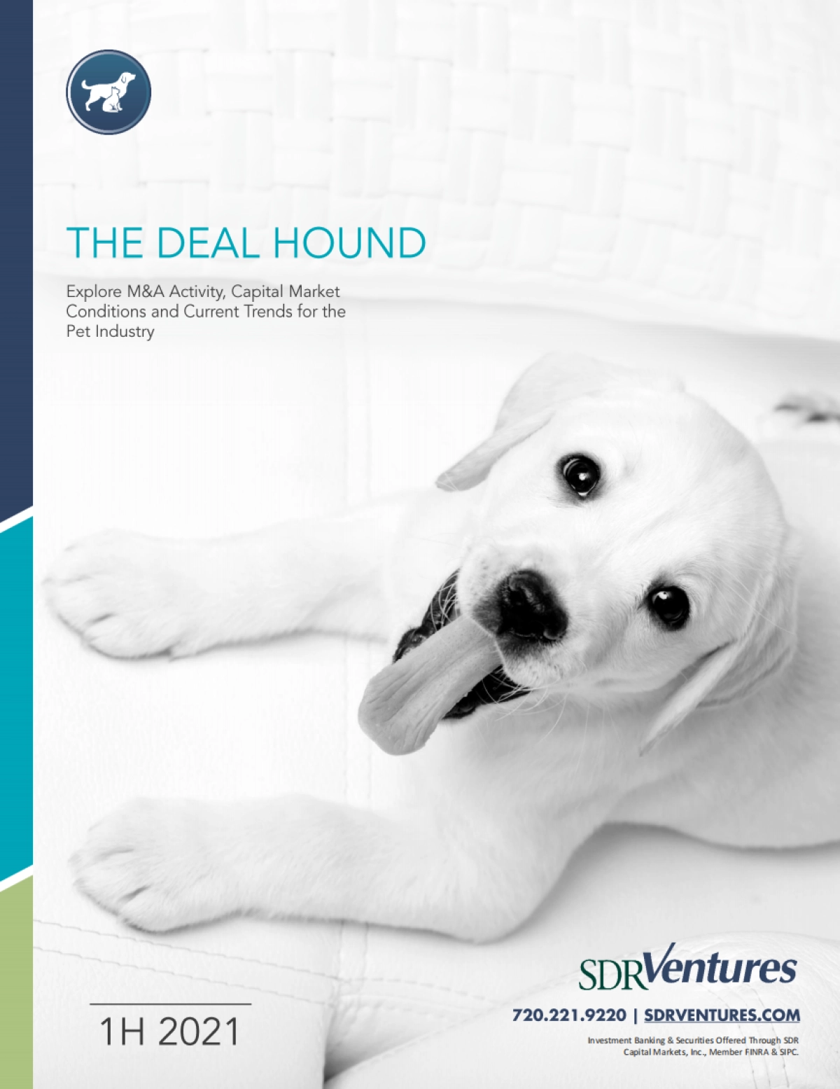 SDR Ventures：2021上半年宠物行业并购和资本市场趋势报告_第1页