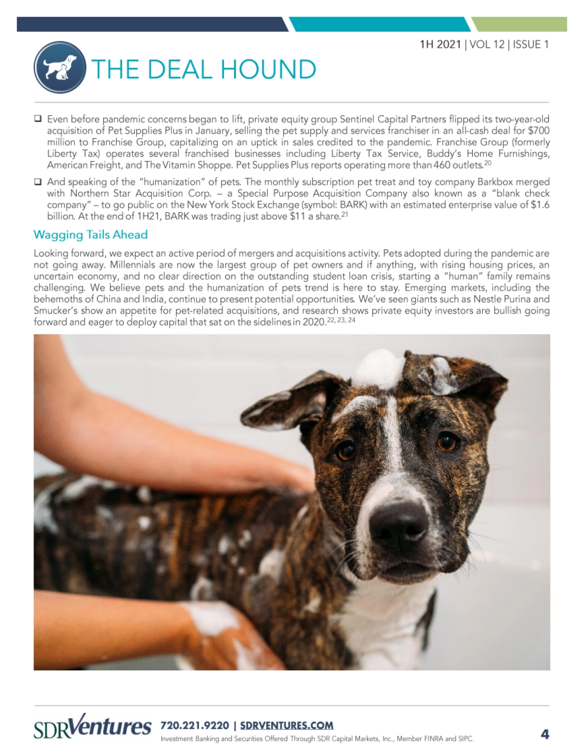 SDR Ventures：2021上半年宠物行业并购和资本市场趋势报告_第4页
