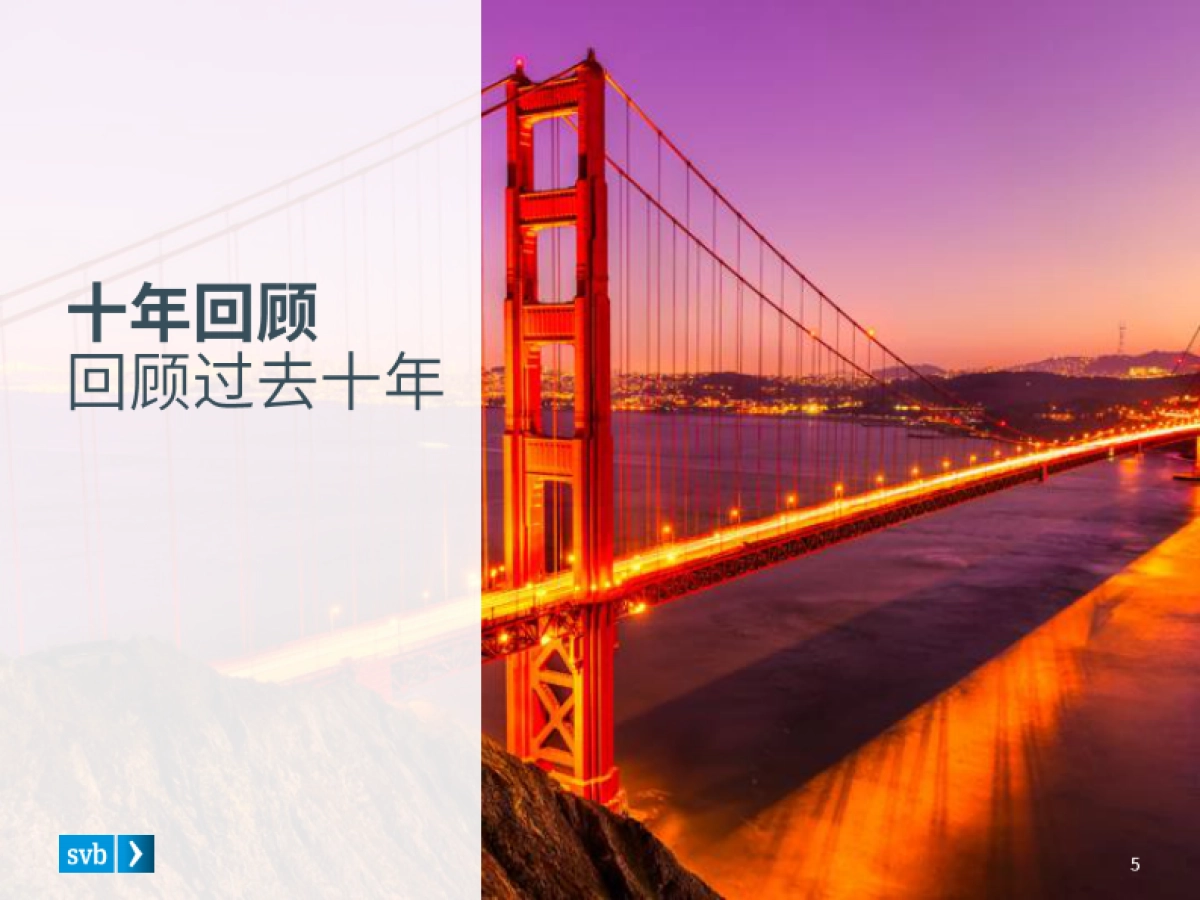 SVB:2020年第一季度市场态势报告—关于全球创新经济的行业观察_第5页