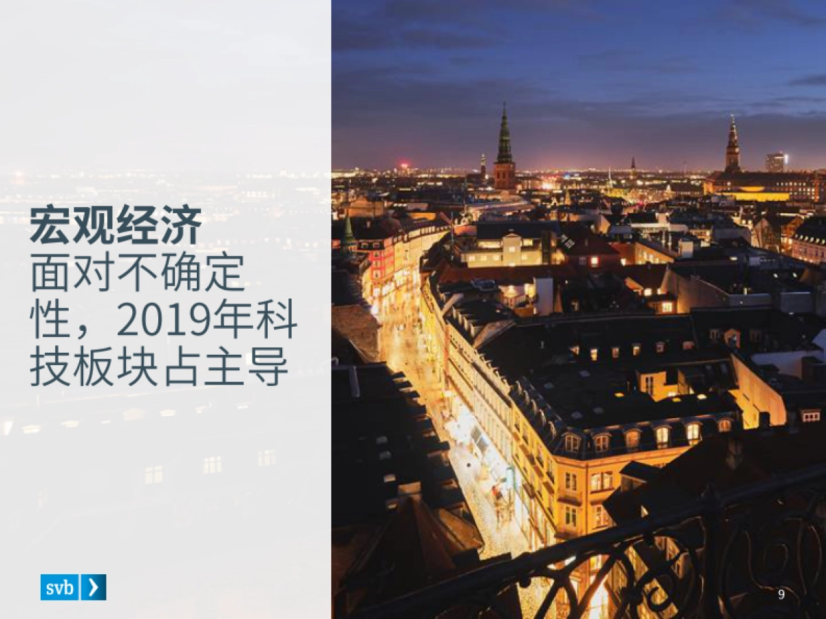 SVB:2020年第一季度市场态势报告—关于全球创新经济的行业观察_第9页