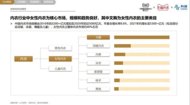 TMIC&有谋：内衣（文胸）行业趋势报告（简版）