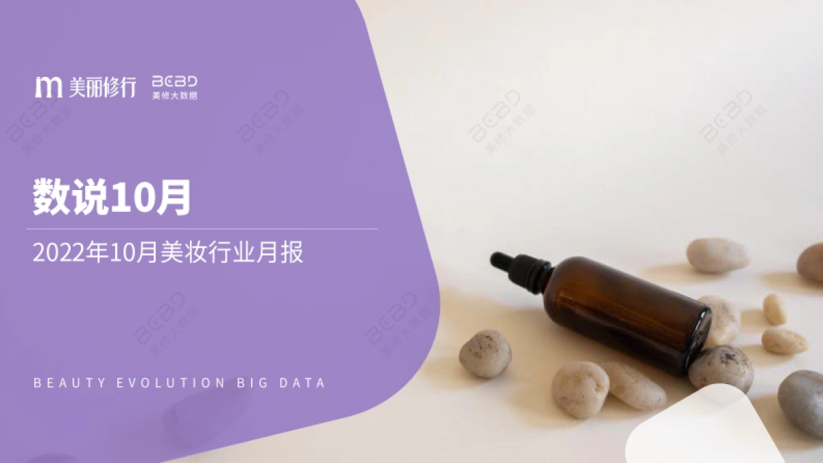 美丽修行：数说10月-2022年10月美妆行业月度报告_第1页
