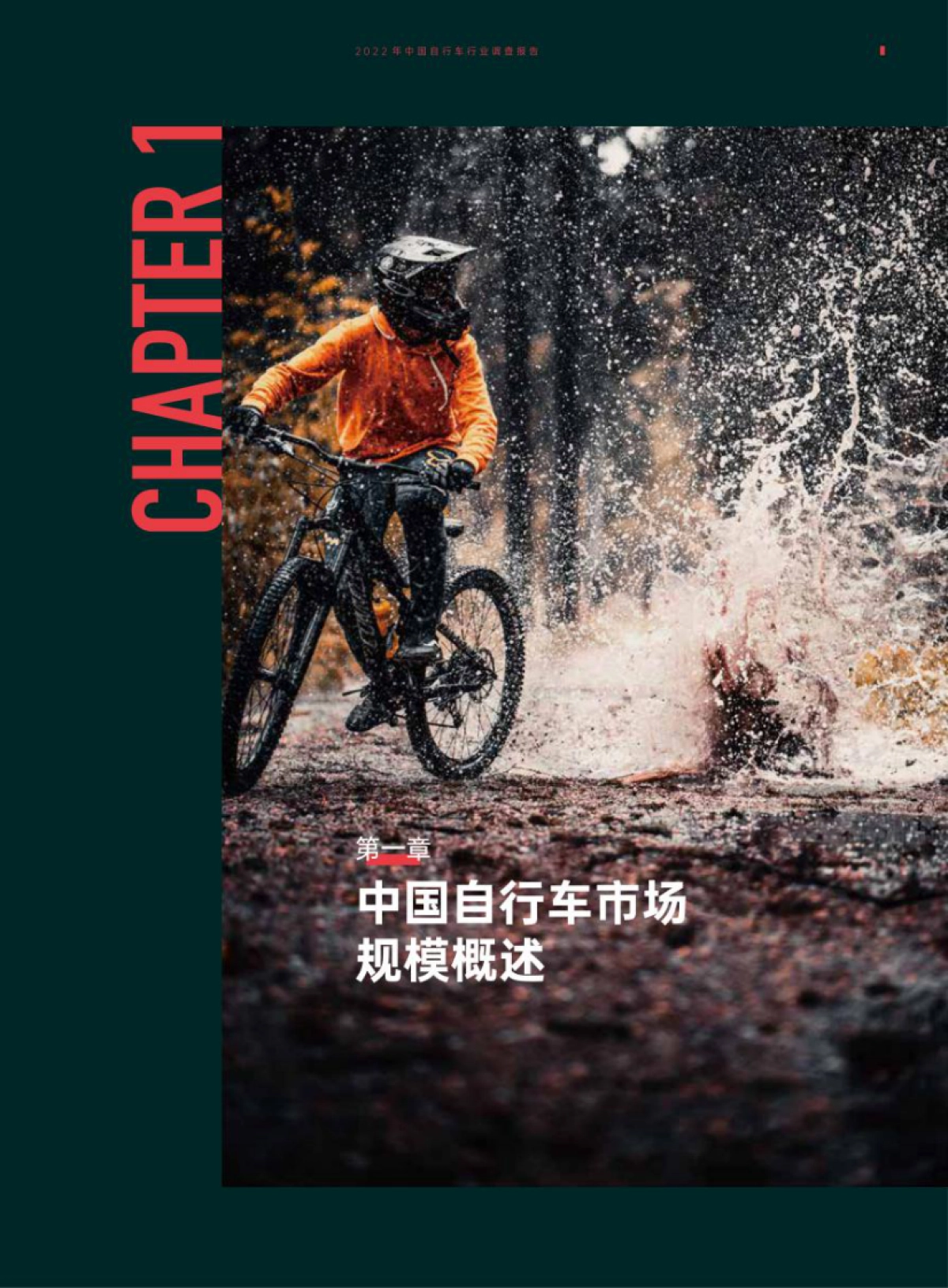 美骑:2022年中国自行车行业调查报告_第7页