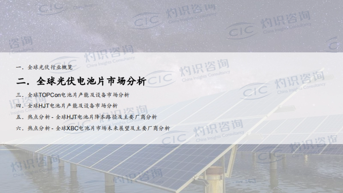 全球光伏电池片行业蓝皮书_第10页