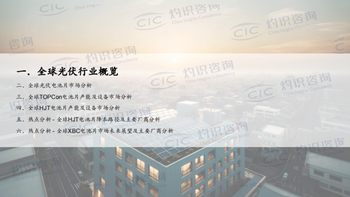 全球光伏电池片行业蓝皮书_第3页
