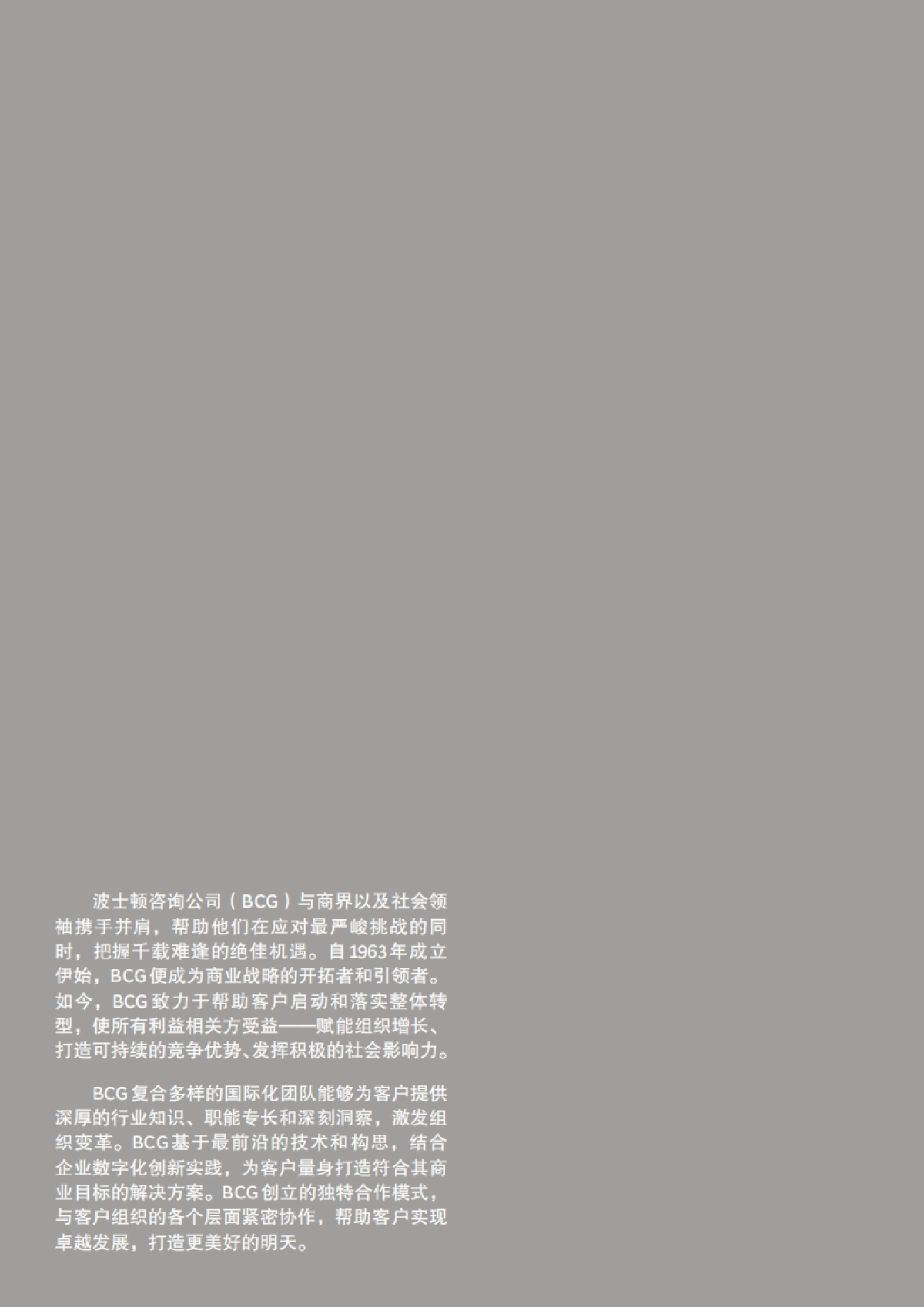 2021年全球支付行业报告-BCG-36页_第2页