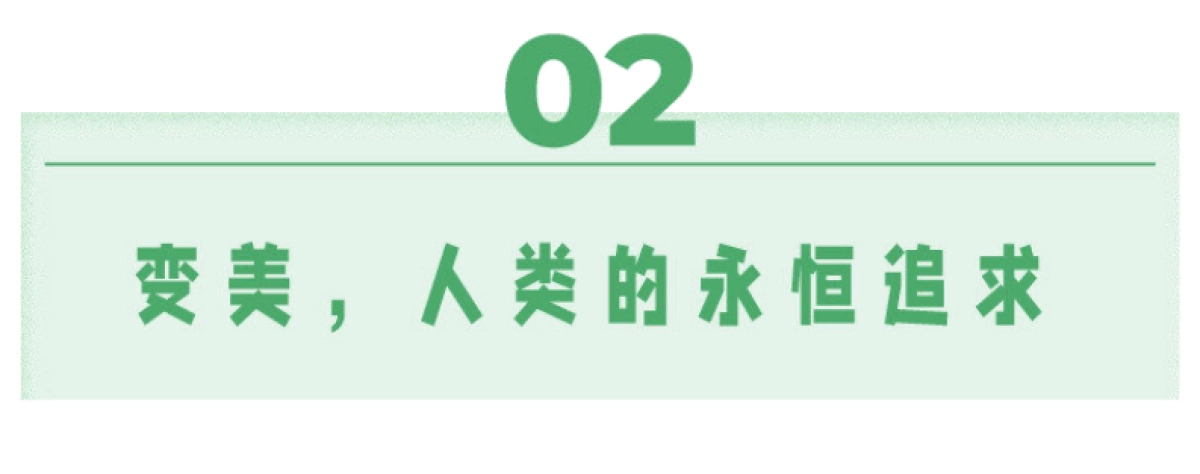 快手大数据研究院：快手行业图鉴番外篇-养生_第7页