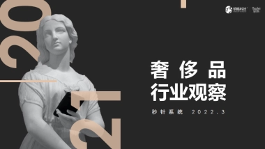 奢侈品行业观察-明略科技&秒针系统-33页