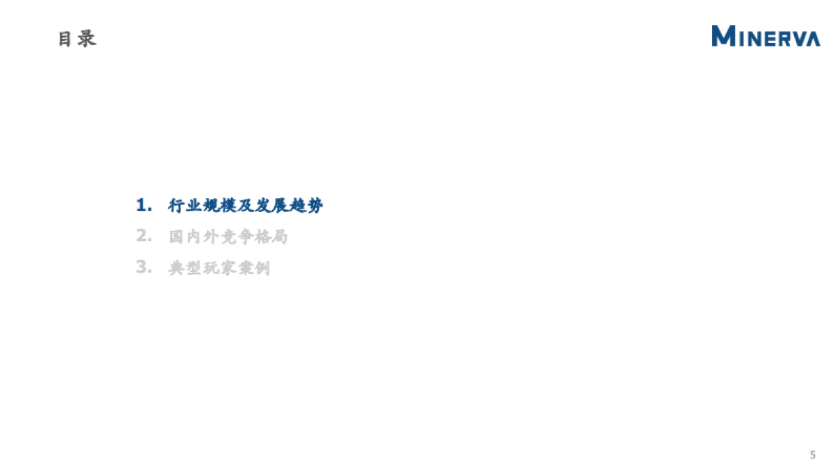 数据库行业研究-Minerva-37页_第6页