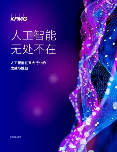 普华永道-人工智能无处不在：人工智能在五大行业的成就与挑战