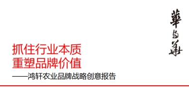 农业品牌“小鲜蛋”战略创意报告全案