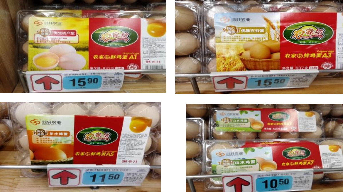 【华与华】小鲜蛋 鸿轩农业品牌战略创意报告_第8页