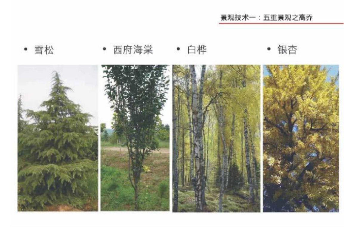 龙湖地产项目景观研究成果分享_第7页